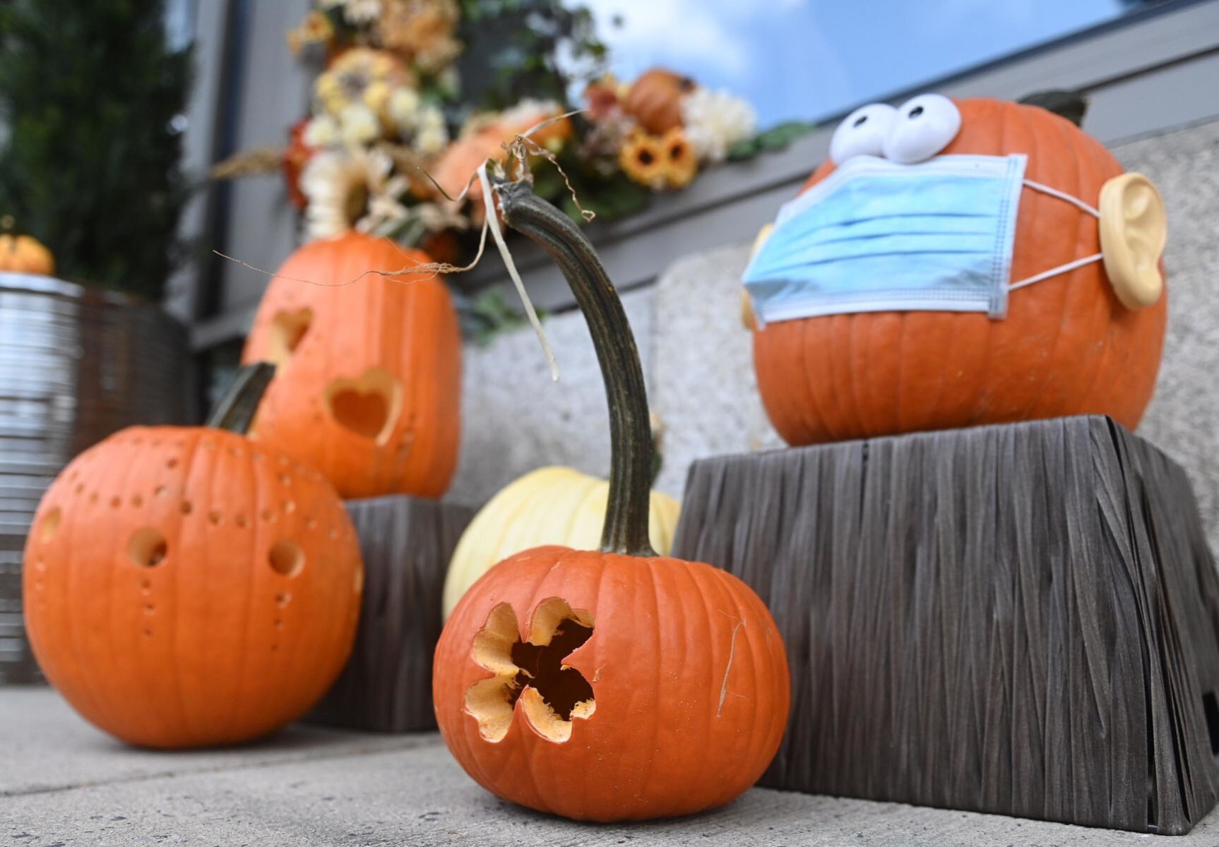 Halloweekend's pumpkin Path 6